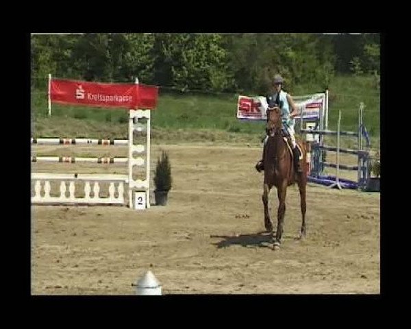 jumper Lysette 14 (Oldenburg, 2001, from Landjonker (Fruhling))