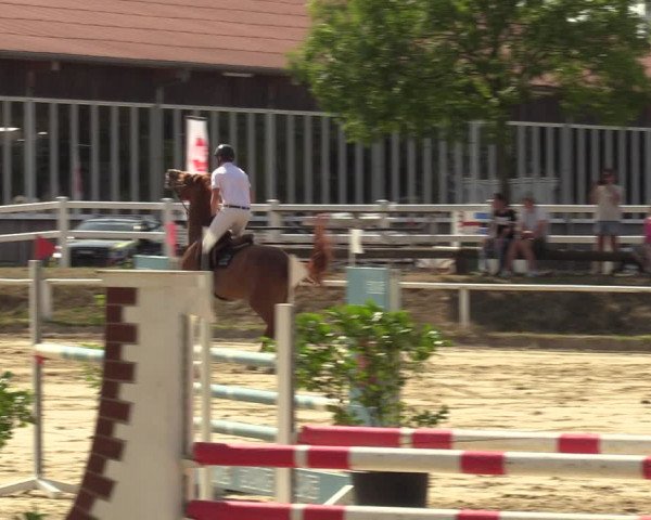 Reitturnier Werne 2022