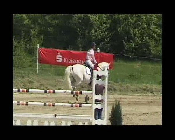 jumper Cenbo (Holsteiner, 1995, from Corofino I)