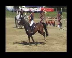 broodmare Careful Little (Württemberger, 2003, from Candillo Z)