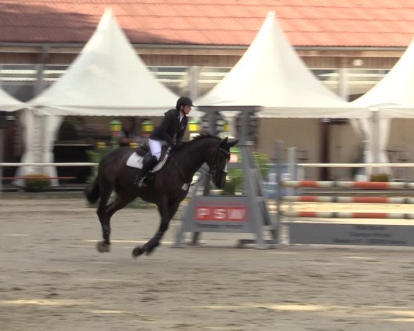 Reitturnier Werne 2022