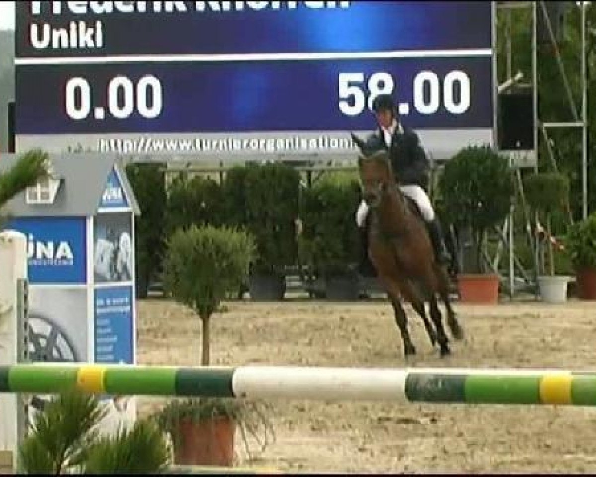 Deckhengst Uniki (KWPN (Niederländisches Warmblut), 2001, von Kigali)