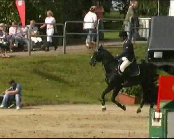 Springpferd Ghenua (Hannoveraner, 1999, von Graf Top) Springpferd Ghenua (Hannoveraner, 1999, von Graf Top)