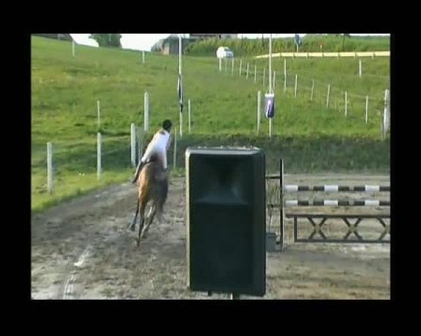 jumper Lennox 165 (Bavarian, 2000, from Libero)
