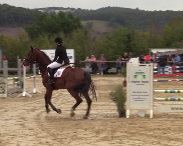 Reitturnier Bühren-Breckerfeld 2022