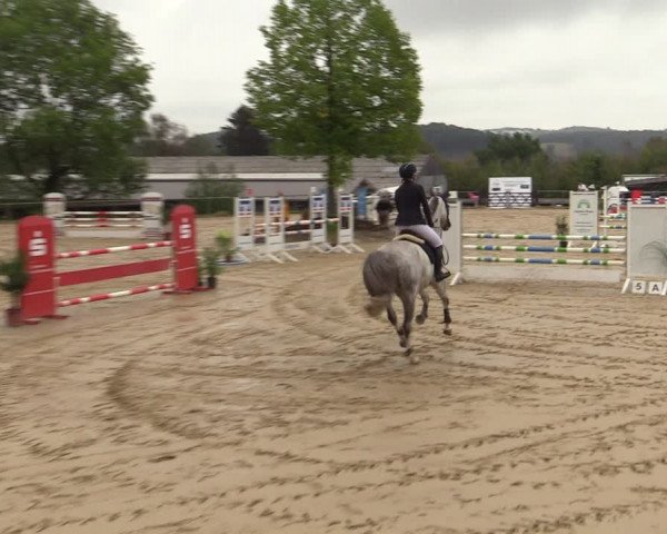 Reitturnier Bühren-Breckerfeld 2022