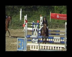 jumper Carle 2 (Hanoverian, 2005, from Couleur Rubin)