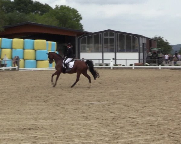 Reitturnier Bühren-Breckerfeld 2022