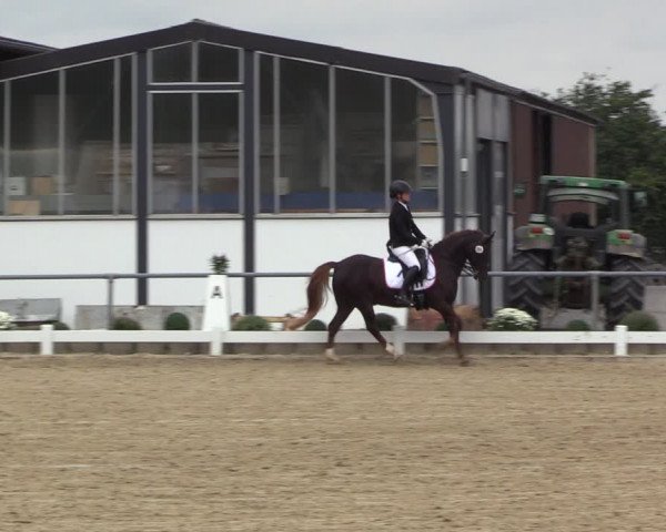 Reitturnier Bühren-Breckerfeld 2022