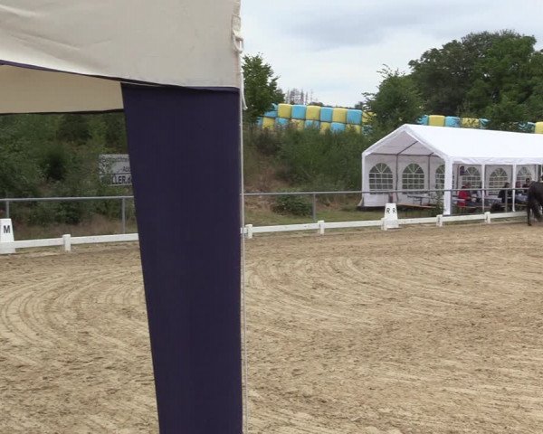 Reitturnier Bühren-Breckerfeld 2022