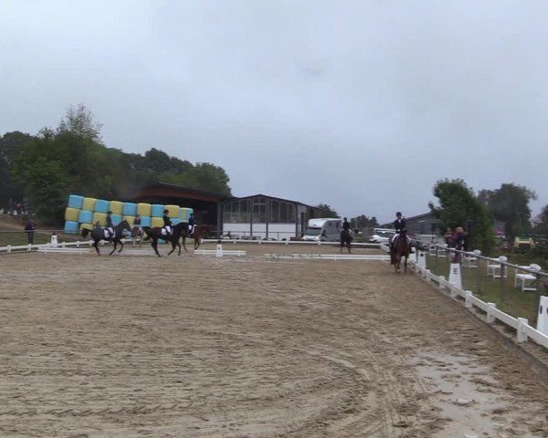Reitturnier Bühren-Breckerfeld 2022