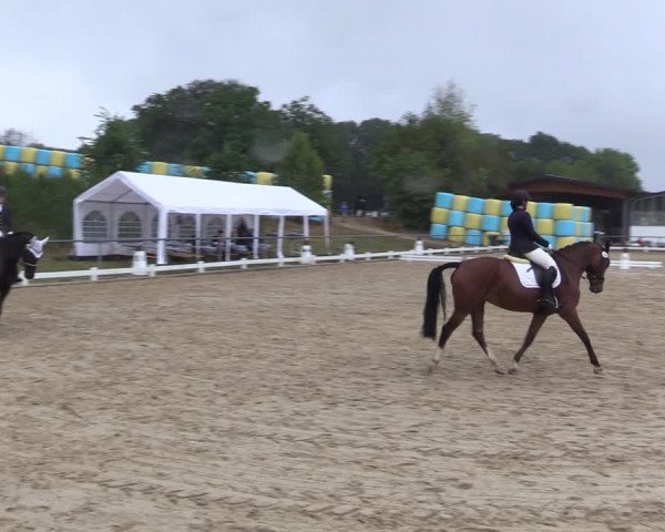 Reitturnier Bühren-Breckerfeld 2022
