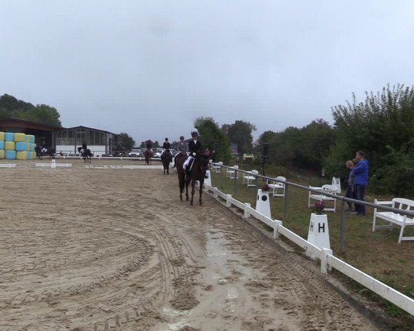 Reitturnier Bühren-Breckerfeld 2022