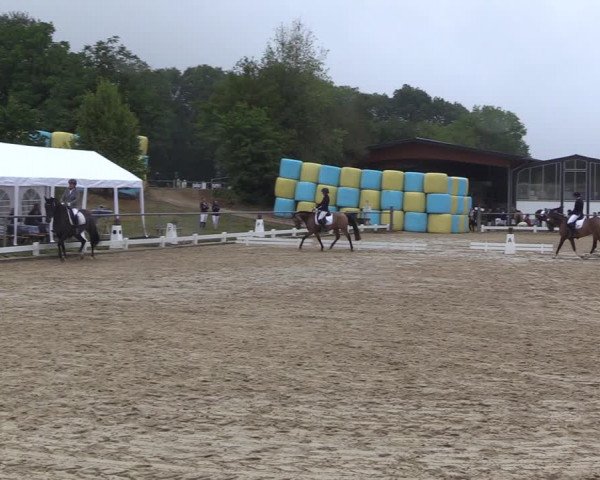 Reitturnier Bühren-Breckerfeld 2022