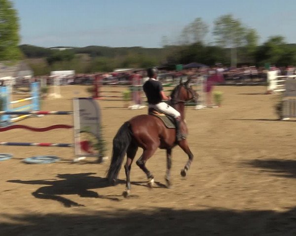 Reitturnier Bühren-Breckerfeld 2022