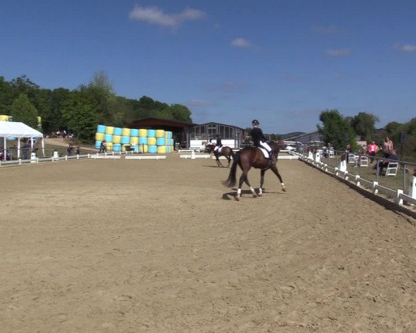 Reitturnier Bühren-Breckerfeld 2022