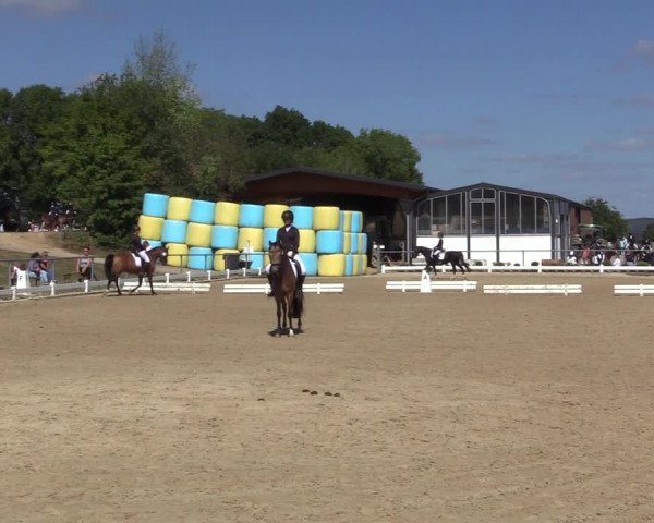 Reitturnier Bühren-Breckerfeld 2022