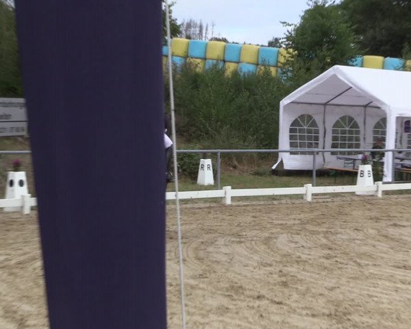 Reitturnier Bühren-Breckerfeld 2022