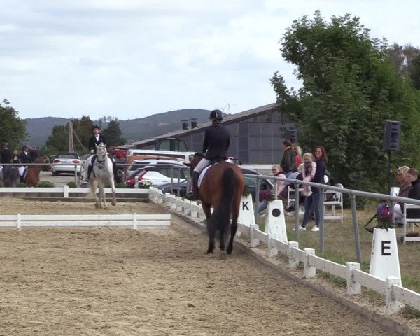 Reitturnier Bühren-Breckerfeld 2022