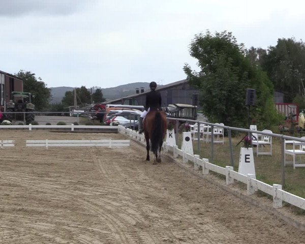 Reitturnier Bühren-Breckerfeld 2022