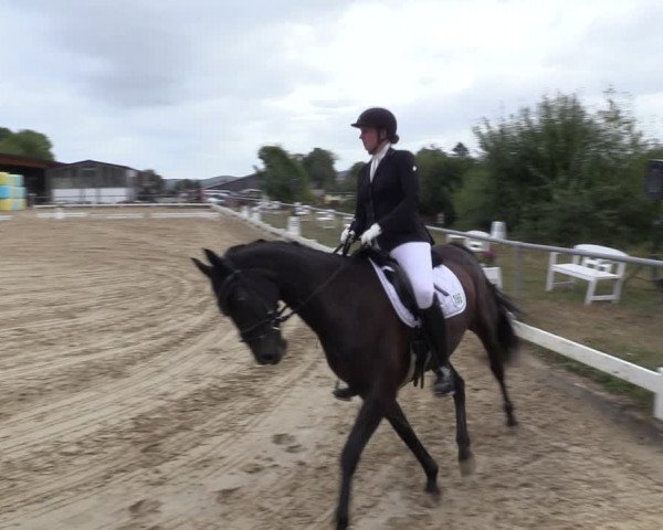 Reitturnier Bühren-Breckerfeld 2022