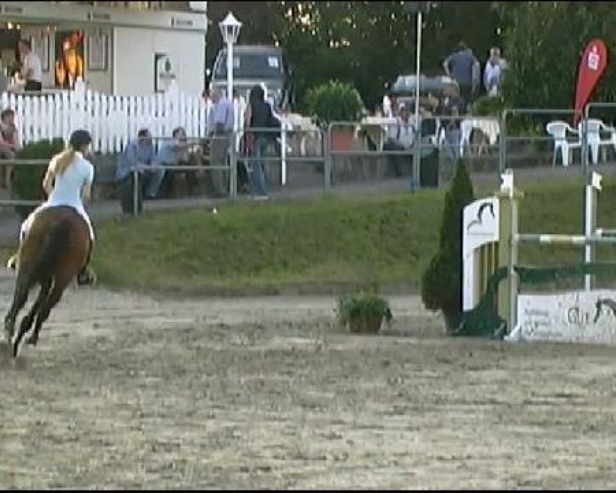 Cavallo da salto Sylter Südwind (Oldenburger, 2001, di Sandro Song)