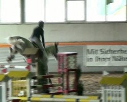 jumper Sisco (unknown, 2003, from Schirocco ox)
