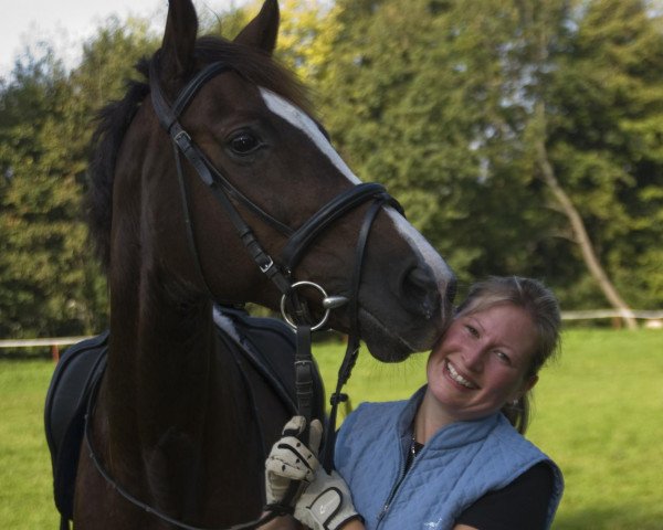Broodmare Dark Lady (Saxony-Anhaltiner Warmblood, 1999, from Drakdream)