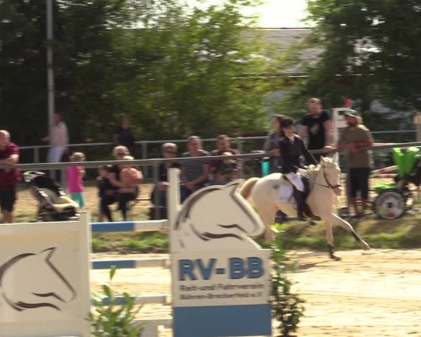 Reitturnier Bühren-Breckerfeld 2022