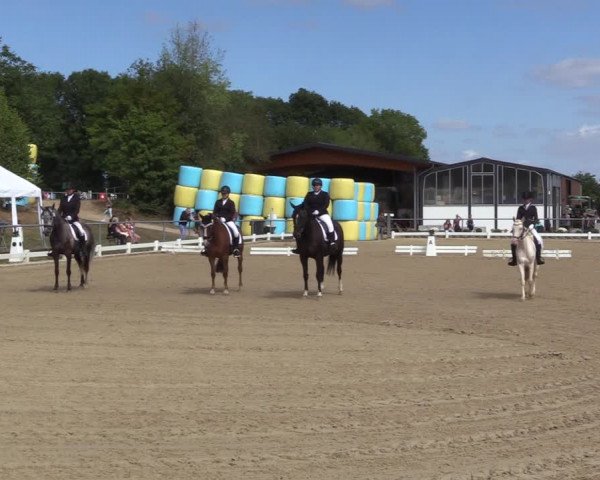 Reitturnier Bühren-Breckerfeld 2022