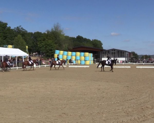 Reitturnier Bühren-Breckerfeld 2022