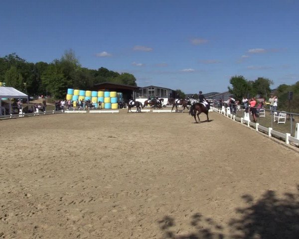 Reitturnier Bühren-Breckerfeld 2022