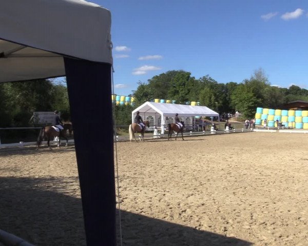 Reitturnier Bühren-Breckerfeld 2022