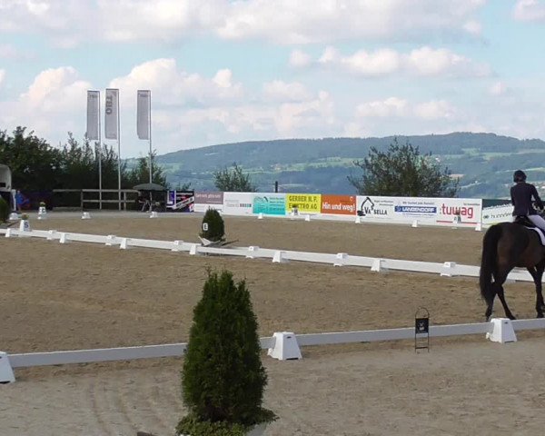 Reitturnier Wädenswil 2022