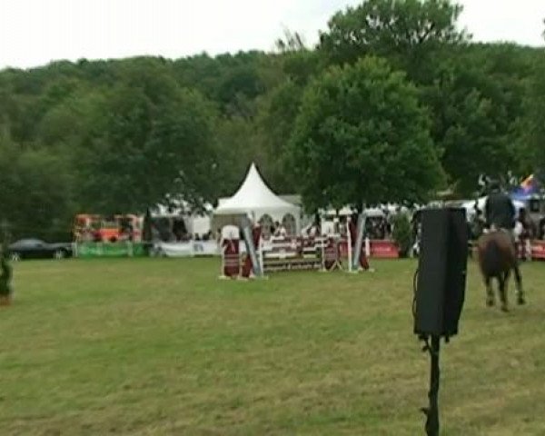 jumper Leader de Rothel (Swiss Warmblood, 2003, from Landjuweel St Hubert)