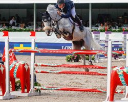 jumper Elucar V.e. (KWPN (Royal Dutch Sporthorse), 2009, from VDL Cardento 933)