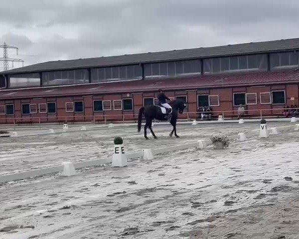 Reitturnier Göttingen- Holtensen 2022