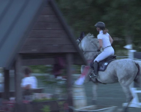 Reitturnier Horitschon 2022