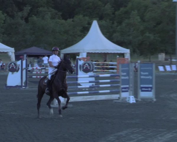 Reitturnier Horitschon 2022
