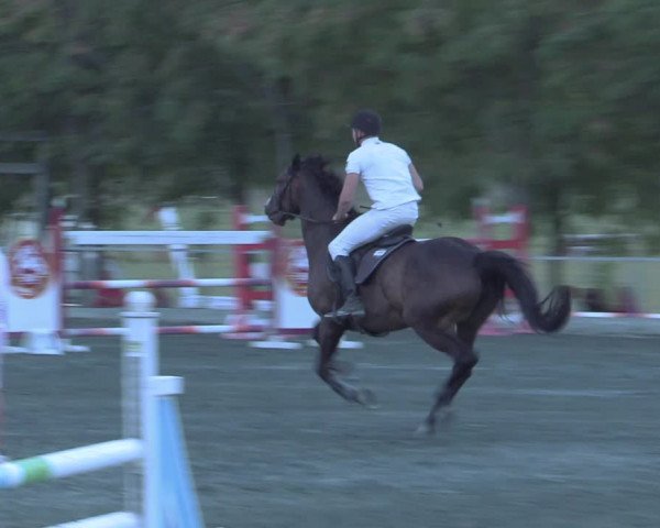 Reitturnier Horitschon 2022
