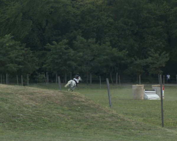 Reitturnier Horitschon 2022