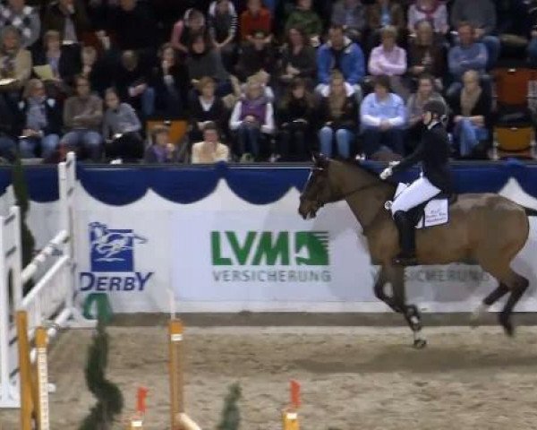 dressage horse Poldi 67 (Westphalian, 1997, from Pik Labionics)