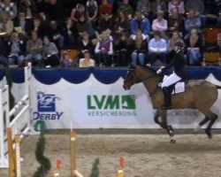 dressage horse Poldi 67 (Westphalian, 1997, from Pik Labionics)