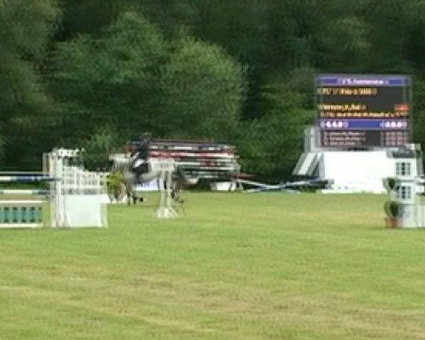 horse Filou 1660 (German Sport Horse, 2003, from Festival Westfalia)