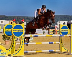 broodmare Queen Ability (Holsteiner, 2008, from Quasto 144 FIN)