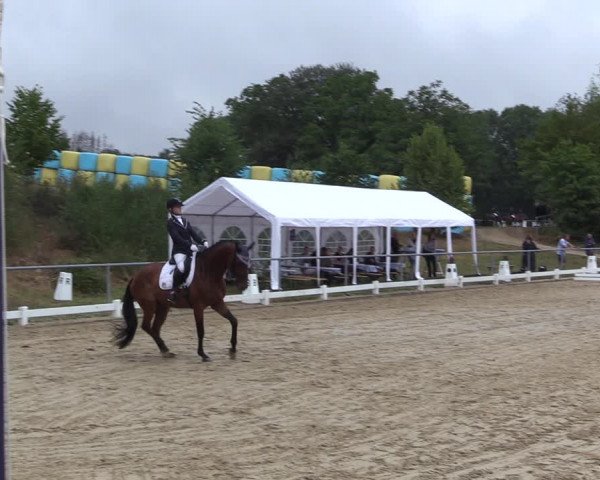 Reitturnier Bühren-Breckerfeld 2022
