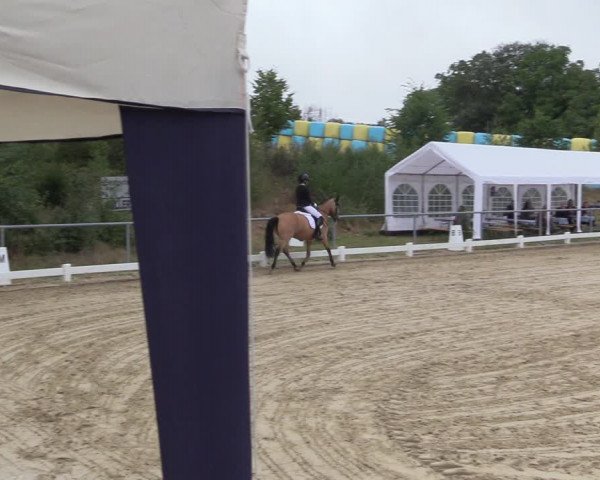 Reitturnier Bühren-Breckerfeld 2022