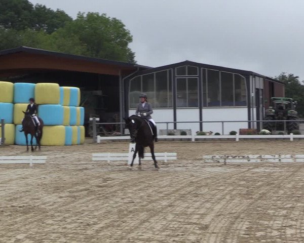 Reitturnier Bühren-Breckerfeld 2022