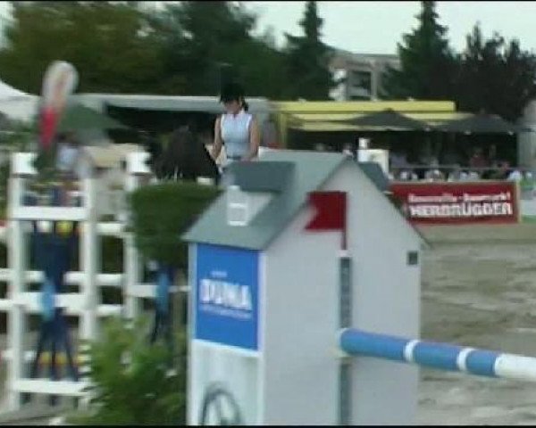 jumper Al Bertino 2 (Holsteiner, 2000, from Aloube Z)
