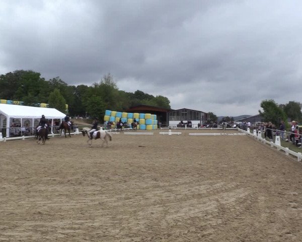 Reitturnier Bühren-Breckerfeld 2022